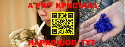 крисы Камышлов