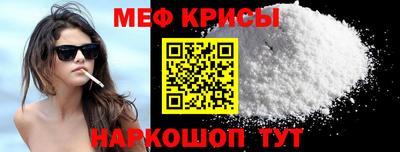 крисы Камышлов