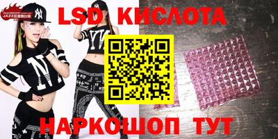 крисы Камышлов
