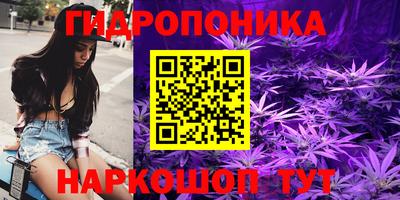 крисы Камышлов
