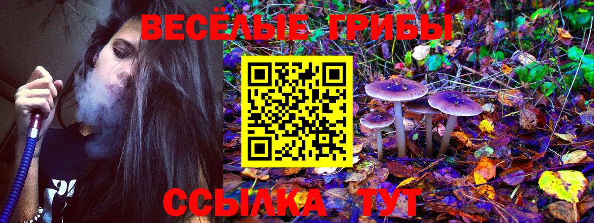 Сафоново  Галлюциногенные грибы прущие грибы  Вход с VPN  Галлюциногенные грибы Magic Shrooms 