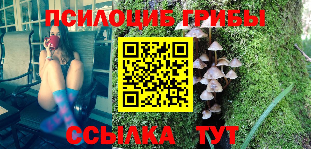 Псилоцибиновые грибы MAGIC MUSHROOMS Сафоново